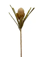 Artificial Banksia Stem<br>Beige