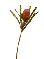 Artificial Banksia Stem<br>Coral
