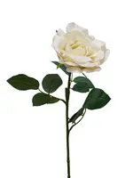 Artificial Colin Rose<br>Ivory