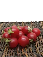 Artificial Cherry Tomatoes<br>Pack x 12