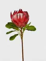 Artificial King Protea<br>Rust Rose