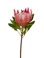 Artificial King Protea<br>Dusty Pink
