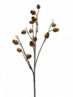 Artificial Gumnut Spray<br>Sand