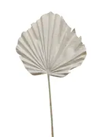 Artificial Fan Palm Leaf<br>White