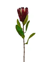 Artificial Protea Spray<br>Burgundy