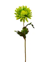 Artificial Chrysanthemum Stem<br>Green