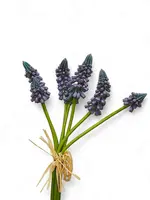 Artificial Grape Hyacinth Bundle<br>Blue