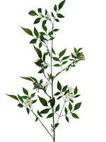 1. Artificial Jasmine Spray<br>White thumbnail
