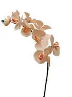 Artificial Phalaenopsis Orchid<br>Dusty Pink