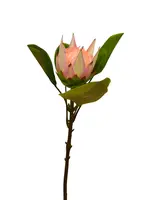 Artificial Star Protea<br>Pink