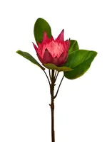 Artificial Star Protea<br>Dark Pink