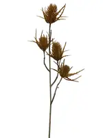 Artificial Teasel Pod Spray