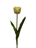 Artificial Tulip Stem<br>Off White