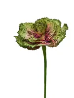 Artificial Cabbage<br>Green/Pink