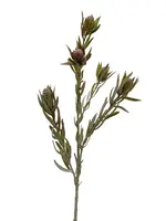 Artificial Protea Spray<br>Burgundy