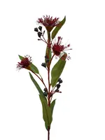 Artificial Flowering Gum<br>Red