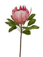 Artificial King Protea<br>Dusty Pink