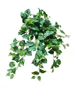 Artificial Pothos Bush<br>Variegated