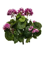Artificial Geranium Bush<br>Magenta