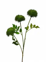 Artificial Dianthus Spray<br>Green