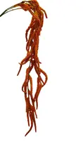 Artificial Amaranthus Spray<br>Orange
