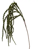 Artificial Amaranthus Spray<br>Green