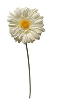 Artificial Gerbera<br>Ivory