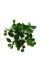 Artificial Geranium Bush<br>Green/Red