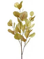Artificial Dollar Gum Leaf Spray<br>Beige