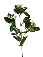 Artificial Stephanotis Spray<br>White