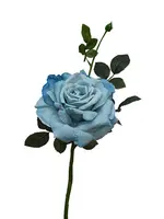 Artificial Quiannie Rose<br>Blue