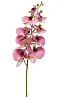 Artificial Phalaenopsis Orchid<br>Dusty Pink