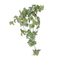 Artificial Peperomia Hanging<br>Green