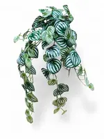 Artificial Peperomia Hanging<br>Green
