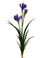 Artificial Iris<br>Purple