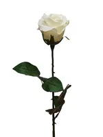 Artificial Ecuador Rose<br>White