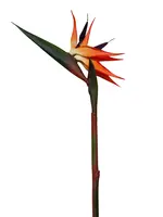 Artificial Bird of Paradise<br>Orange
