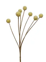 Artificial Billy Button<br>Cream
