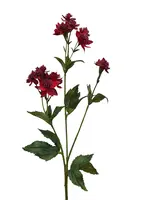 Artificial Astrantia<br>Red