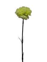 Artificial Carnation<br>Green
