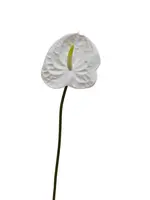 Artificial Anthurium<br>White