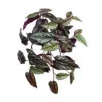 Artificial Cissus Begonia<br>Burgundy/Green