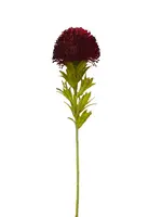 Artificial Banksia<br>Burgundy