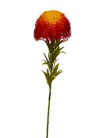 Artificial Banksia<br>Orange