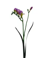 Artificial Freesia Spray<br>Lavender