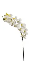Artificial Phalaenopsis Mini Orchid Spray<br>White