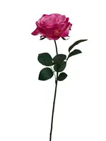 Artificial Sienna Rose<br>Beauty