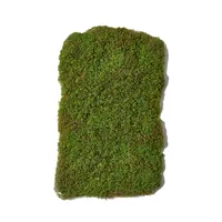 Artificial Moss Sheet<br>Green