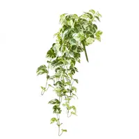 Artificial Hanging Pothos Bush<br>Variegated