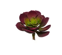 Artificial Aeonium<br>Purple